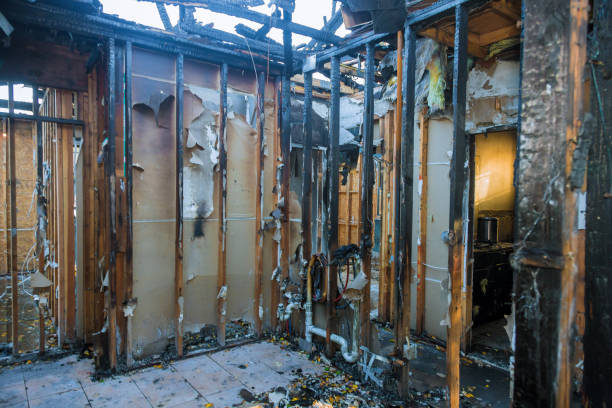 Professional Fire Damage Assessment technician working in Knoxville, MD